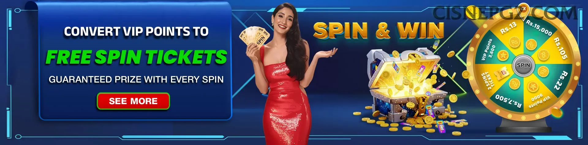 Suporte cisnepg